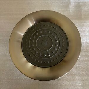 Delta Brushed nickel Shower Head
